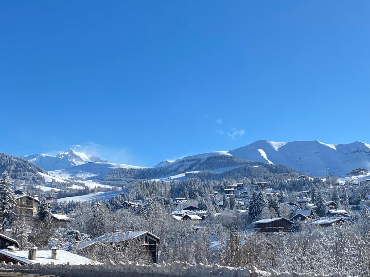 Chaleureux Appartement Renove Ambiance Chalet พลาซ-ซัวร์-อาร์ลี ภายนอก รูปภาพ