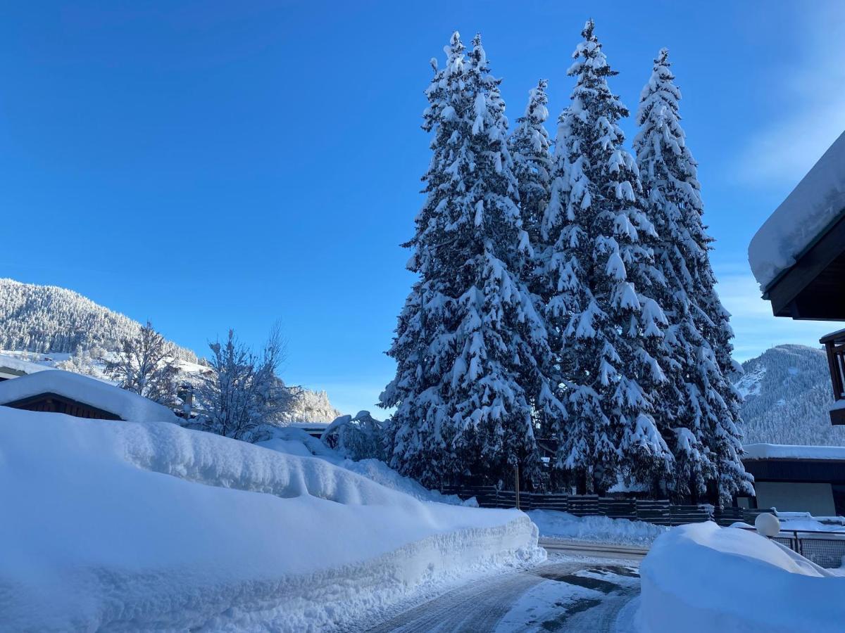 Chaleureux Appartement Renove Ambiance Chalet พลาซ-ซัวร์-อาร์ลี ภายนอก รูปภาพ