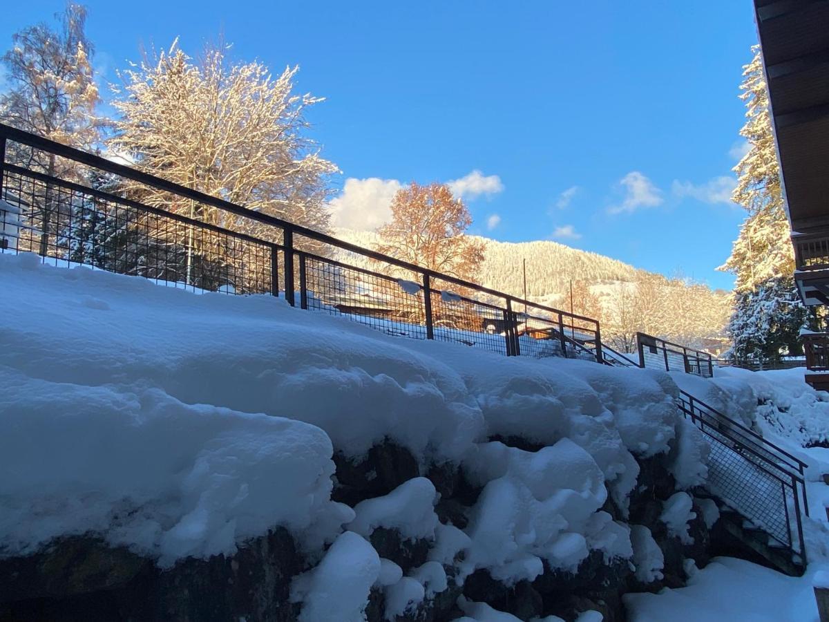 Chaleureux Appartement Renove Ambiance Chalet พลาซ-ซัวร์-อาร์ลี ภายนอก รูปภาพ