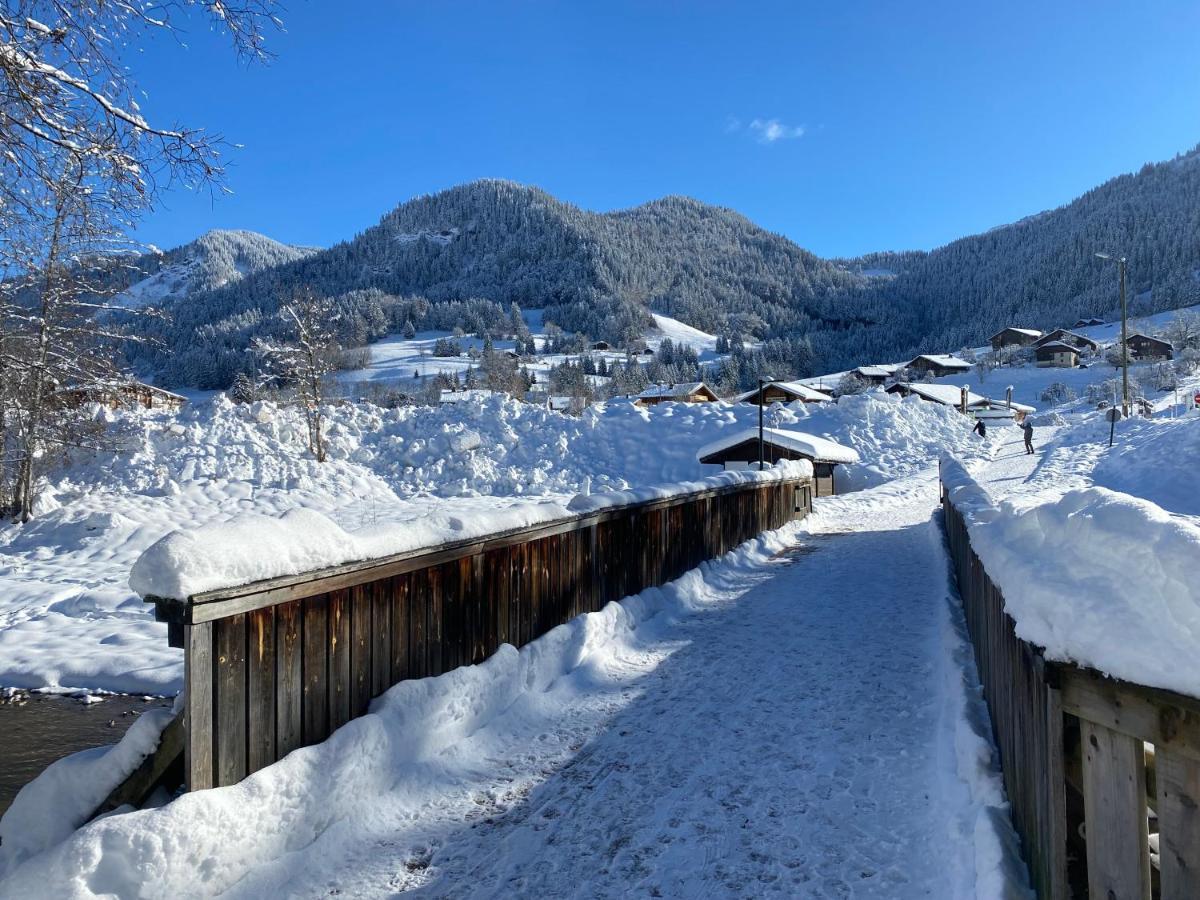 Chaleureux Appartement Renove Ambiance Chalet พลาซ-ซัวร์-อาร์ลี ภายนอก รูปภาพ